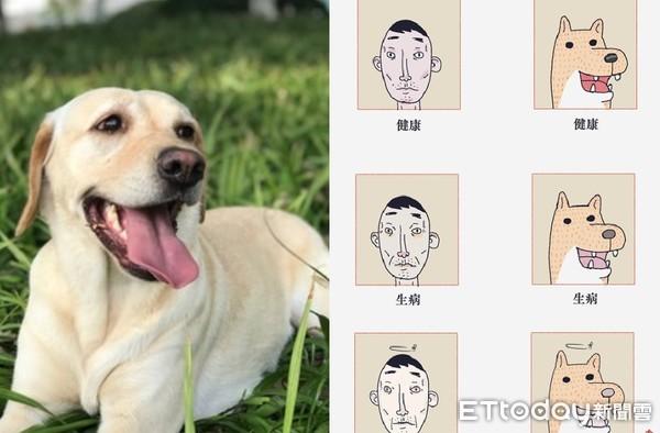 毛毛臉到死亡長一樣!1張圖揭「可怕熱傷害」:忍耐原因都是你