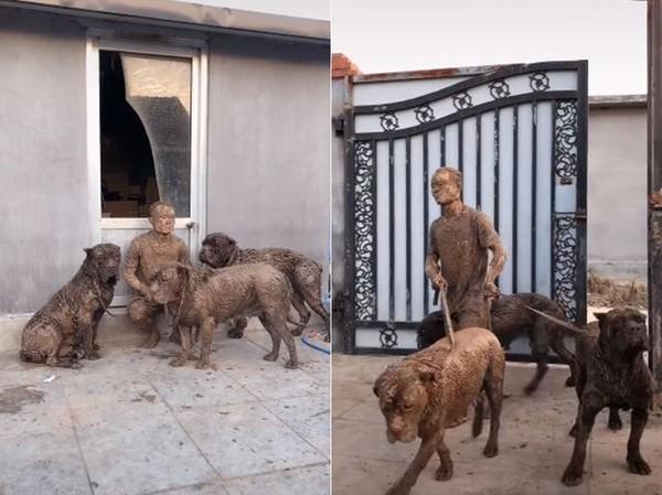 平頭男溜3大狗「被拖進泥坑」　回家變「兵馬俑」網笑瘋