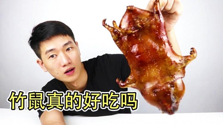 竹鼠真的好吃嗎?網紅親自實測「一隻竟然要價四位數」分享致命缺點:以後不會再吃了...