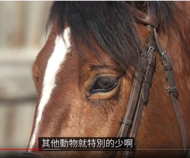 人真的是演化而來?統整人類擁有「地球萬物皆沒有的六大特徵」網:難道我們是外星人?