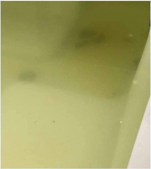 飯店浴缸裝滿「黃綠藻澤色水」仔細一看還有「一條條咖啡色固狀物」撈出來房務超崩潰！