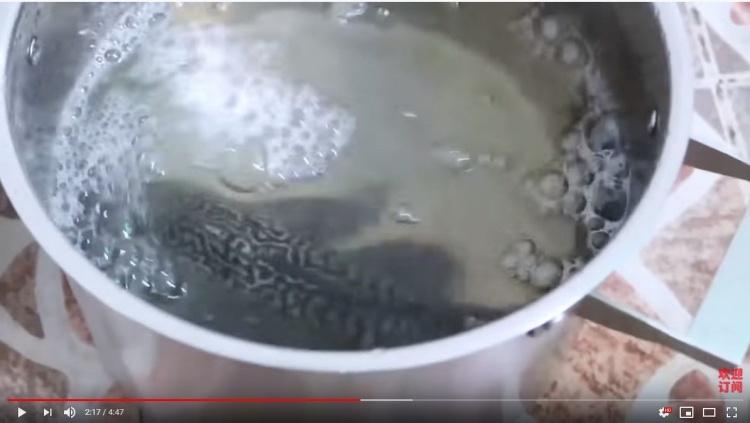 吃青苔的垃圾魚好吃嗎？網紅親自嘗試「口感超嫩像法式OO」網問號：看起來爆幹好吃...