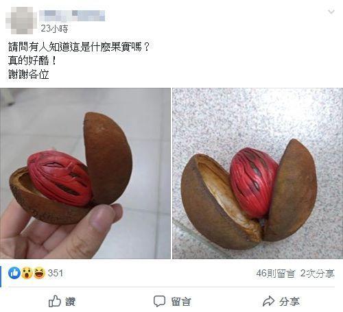 這什麼果實?爬滿詭異紋路...長超像「女生尿尿的地方」! 網揭真相: 嗑多了會嗨