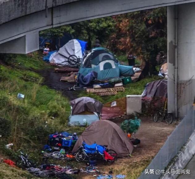 為何美國人都住得起別墅、泳池和車庫?網揭醜惡真相「我們都被影集騙了」網:也太黑暗
