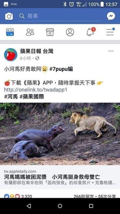 看了20年童年回憶...「嚕嚕米真實身份終於曝光」!竟不是小精靈、狗...網驚呼:猜不到R!