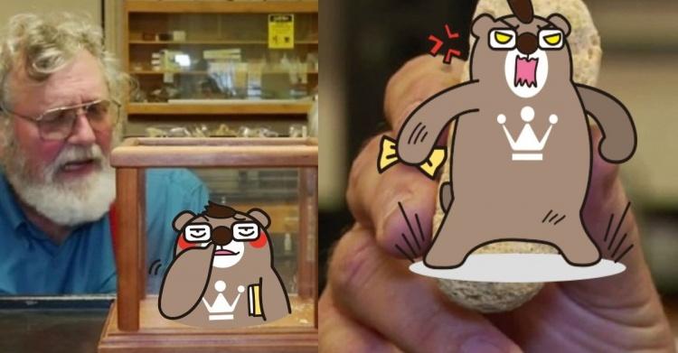 保存期限65天的海綿蛋糕「放43年」！結果一出爐…全場觀眾嚇傻：內容物令人震驚！