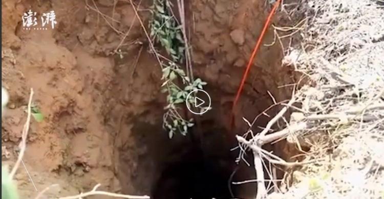 路邊的野花真的不要採...陸男「為了採花掉入20公尺深水井中」網笑翻：這花是有多美？