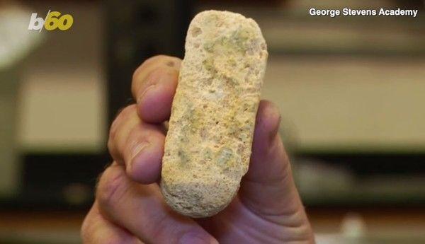 保存期限65天的海綿蛋糕「放43年」！結果一出爐…全場觀眾嚇傻：內容物令人震驚！