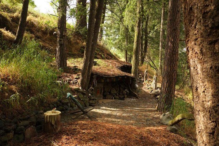 住進魔戒小樹屋？他放棄高薪工作隱居森林20年 現況曝光竟讓所有人都羨慕...：人生啊