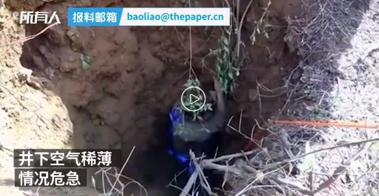 路邊的野花真的不要採...陸男「為了採花掉入20公尺深水井中」網笑翻：這花是有多美？