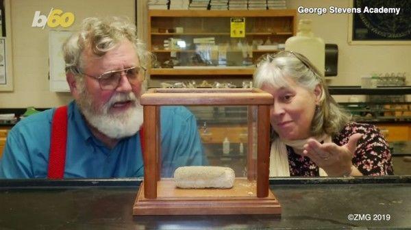 保存期限65天的海綿蛋糕「放43年」！結果一出爐…全場觀眾嚇傻：內容物令人震驚！