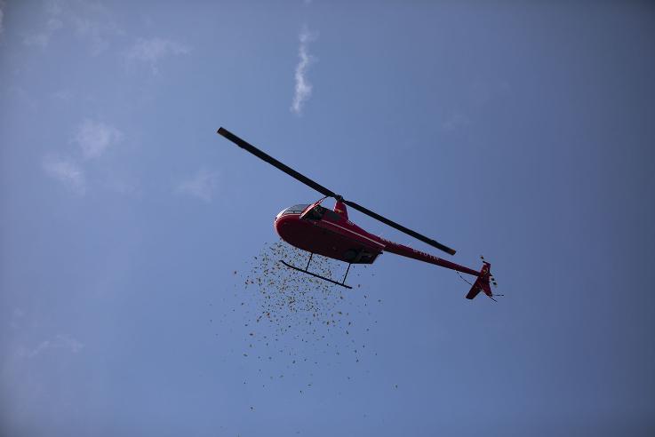 土豪的婚禮就是不一樣！新郎「包下直升機灑紅包雨」在場賓客全瘋搶！網笑翻：也太狂！