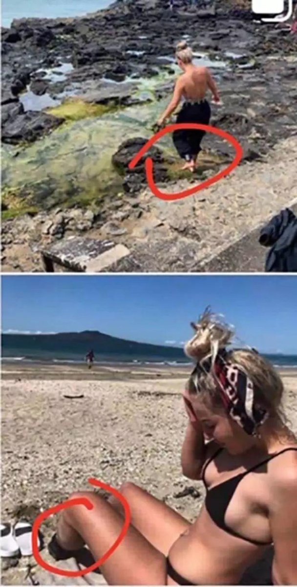 新西蘭少女PO海邊辣照竟讓所有人都氣炸?仔細看馬上秒懂...:真的難以饒恕啊