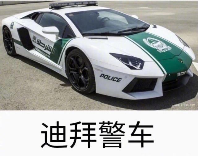 世界各國警車圖艦！從各式跑車到肌肉車「俄羅斯車種超級狂」網笑翻：果然是戰鬥民族！