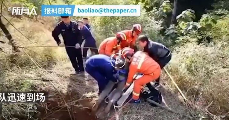 路邊的野花真的不要採...陸男「為了採花掉入20公尺深水井中」網笑翻：這花是有多美？