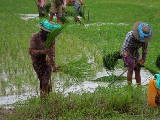 娶緬甸老婆才是最讚的?不只顏值高「不嬌氣而且還會…」根本完美妻子:太優質了吧!