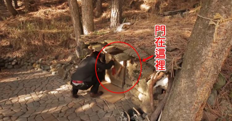 住進魔戒小樹屋？他放棄高薪工作隱居森林20年 現況曝光竟讓所有人都羨慕...：人生啊