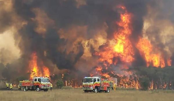 澳洲消防員「累趴草地」照片超鼻酸　掉男兒淚：大火好像沒有盡頭
