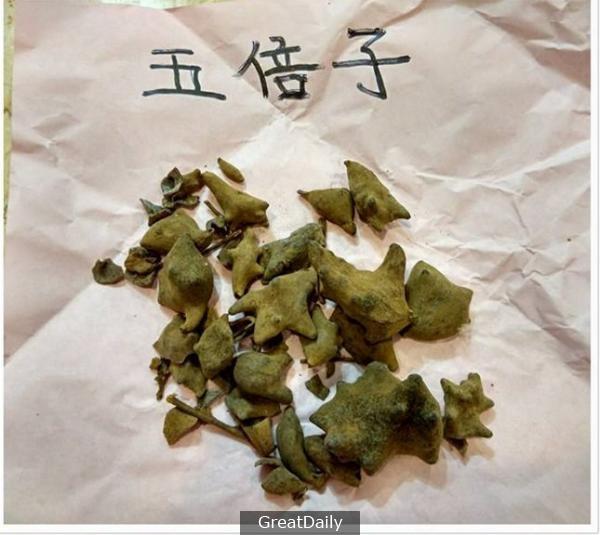 【頑固皮廯秘方】，歡迎轉發！