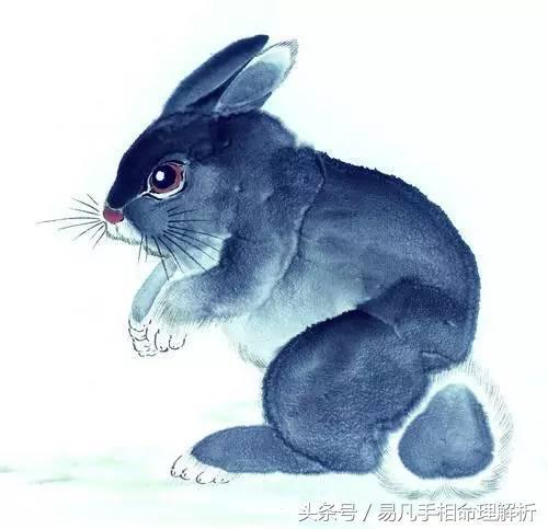 易凡談女人越敗家，男人越走財運的幾大生肖女