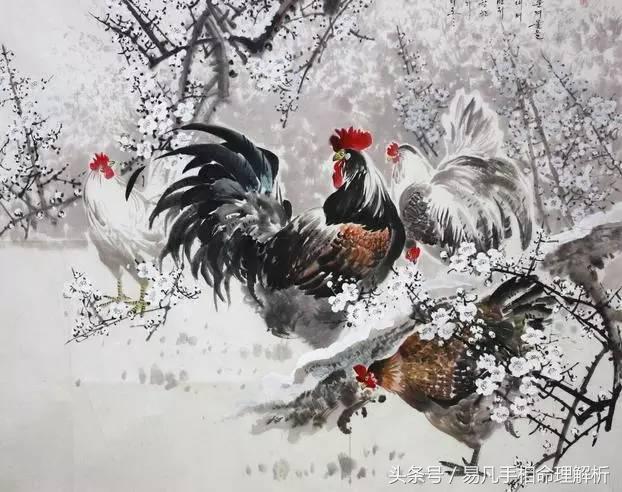 易凡談女人越敗家，男人越走財運的幾大生肖女