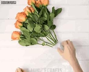 馬桶堵了，一張保鮮膜就能搞定，關鍵還不髒手！