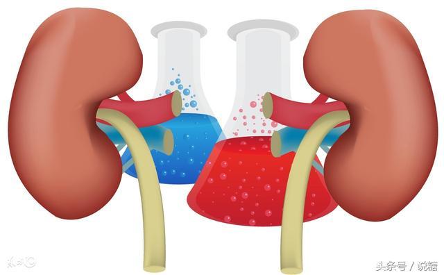 糖尿病是個「偷腎」的賊，護腎多喝這碗湯