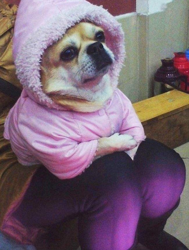 18 張「想像力太豐富的人不宜觀看」的照片,拍照的攝影師根本就是神!