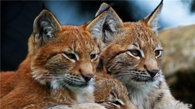 一家人,最重要,三個字