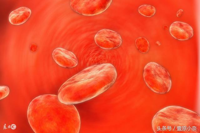 山村裡的它是血管的「清潔工」，吃一個通一個，血壓也穩了