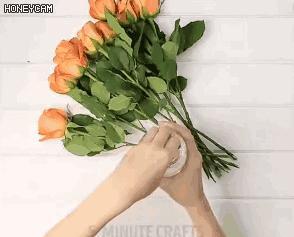 馬桶堵了，一張保鮮膜就能搞定，關鍵還不髒手！