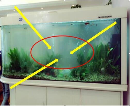 這些東西有錢人白送你你也別要，把黴運都送給你了，回去立馬丟！