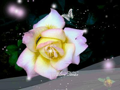 Image result for 花 gif