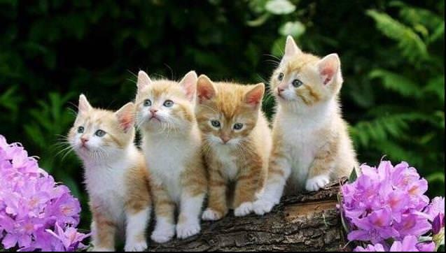 一家人,最重要,三個字