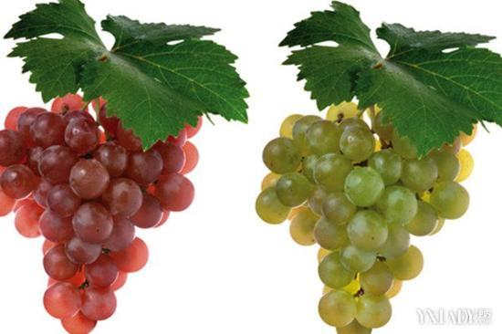 晚上吃這五類水果 瘦身又美味