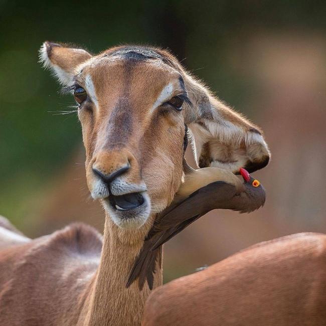 18 張「想像力太豐富的人不宜觀看」的照片,拍照的攝影師根本就是神!