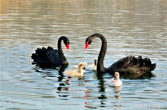 一家人,最重要,三個字