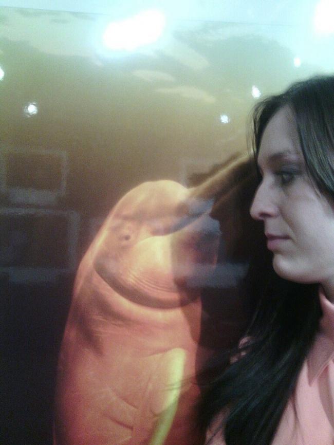 18 張「想像力太豐富的人不宜觀看」的照片,拍照的攝影師根本就是神!