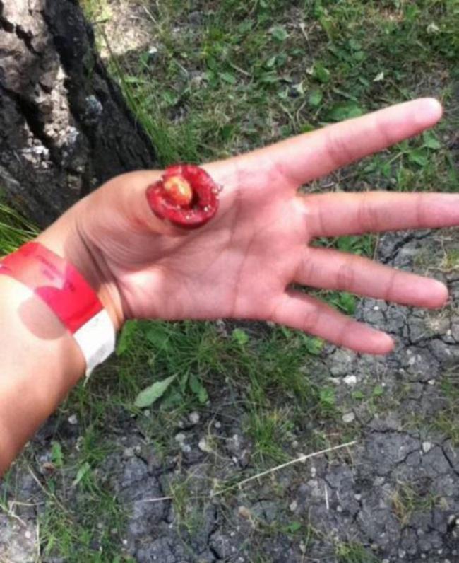 18 張「想像力太豐富的人不宜觀看」的照片,拍照的攝影師根本就是神!