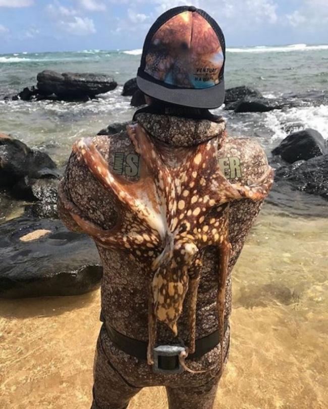 18 張「想像力太豐富的人不宜觀看」的照片,拍照的攝影師根本就是神!