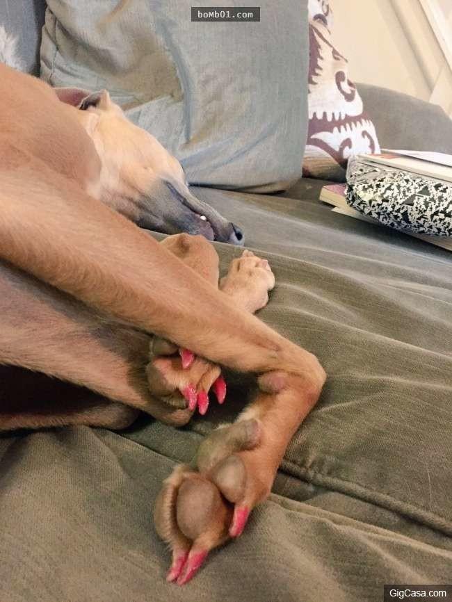 20張證明小孩們有時候真的超可愛的超有愛照片！