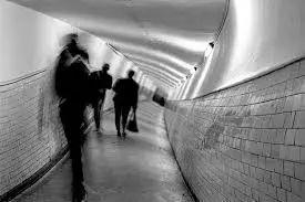 國外一男孩在後院玩，看見了一雙黑溜溜的眼睛，隨後他竟命喪黃泉