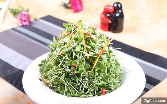 常吃這6種綠色食物!真不勞醫生開藥方!別說我沒告訴你！