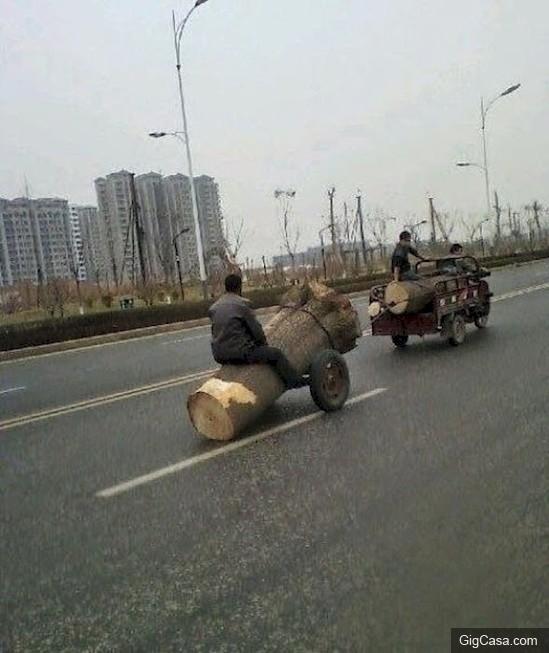 30個讀再多學位都救不了的人。