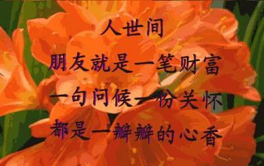 測試：選一隻你最喜歡的鳥，測你最近有沒有偏財運跟著你走嗎？來測一測試試！