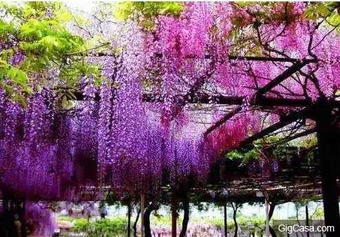 男女睡覺前生吃這個，晚上想怎麼任性都行.