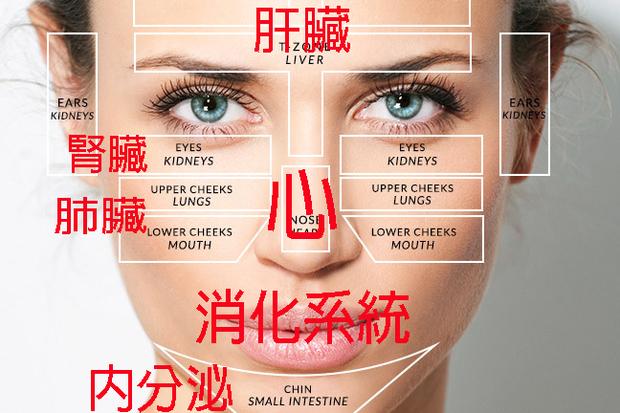 臉上痘痘暗藏危機！一張圖看懂身體哪裡出問題，鼻子、下巴痘最危險!!!
