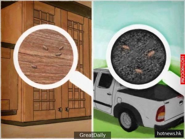 睡覺的時候身體好癢，竟然是床上有這種「蟲」，千萬要小心！不趕緊滅掉他後果很嚴重.. ...