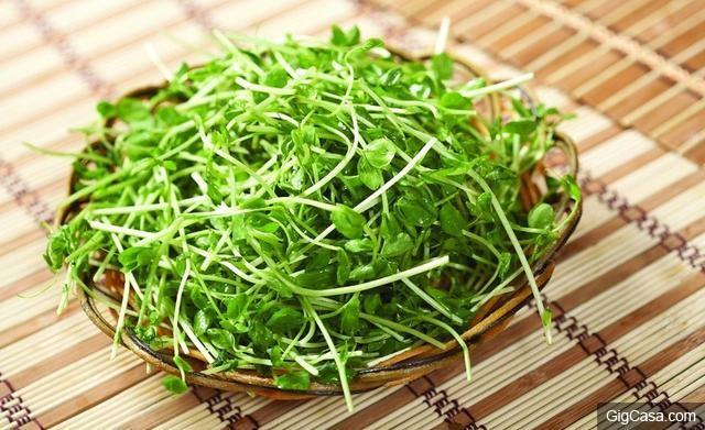 常吃這6種綠色食物!真不勞醫生開藥方!別說我沒告訴你！