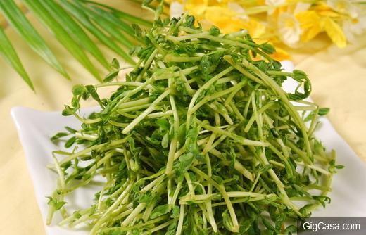 常吃這6種綠色食物!真不勞醫生開藥方!別說我沒告訴你！